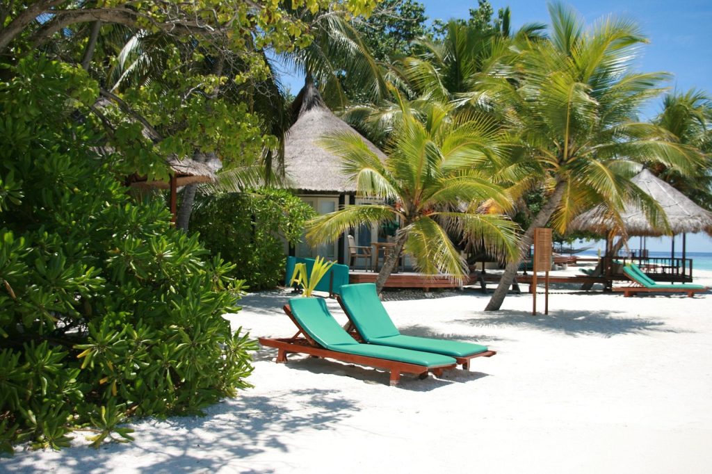 maldive islands, sunbed, vacation, summer, nature, beach